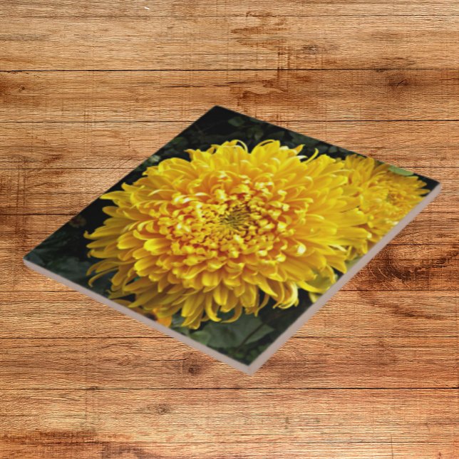 Stor Gult Chrysanthemum-Blommigt Kakelplatta (In Situ)