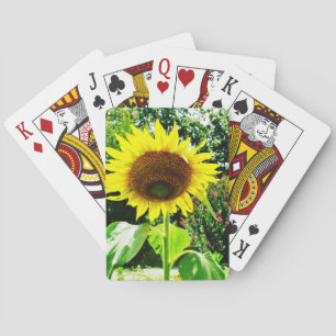 Stor gult Solros Casinokort