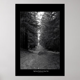 Stor handfatredwoodträddelstatspark poster