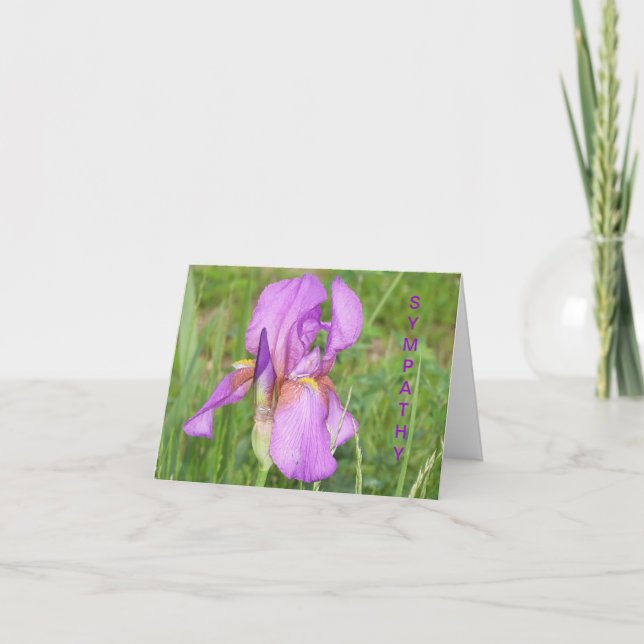 Stor härlig Iris, sympati Kort (Framsida)