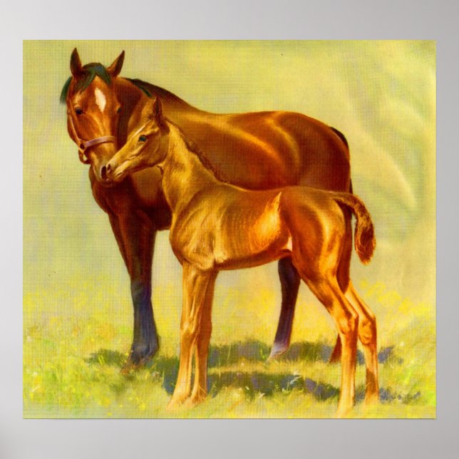 Stor häst, liten häst poster (Framsidan)