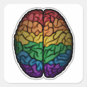 Stor HBT-Pride Regnbåge Brain Vector Fyrkantigt Klistermärke