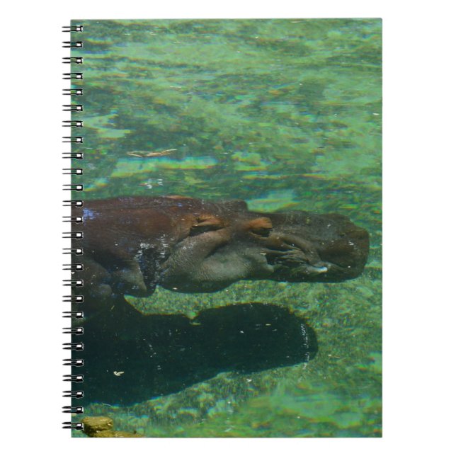 Stor hippo-simning under Vatten. Anteckningsbok (Framsidan)