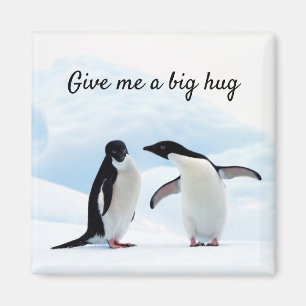 Stor hug Penguin på isfoto med text Magnet