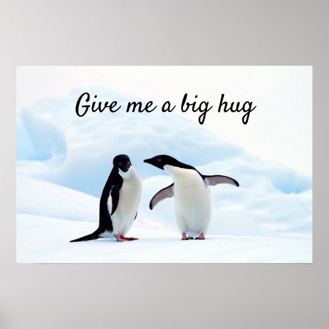 Stor hug Penguin på isfoto med text Poster (Framsidan)