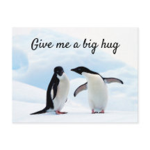 Stor hug Penguin på isfoto med text