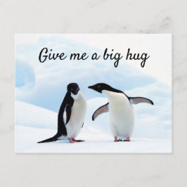 Stor hug Penguin på isfoto med text Vykort