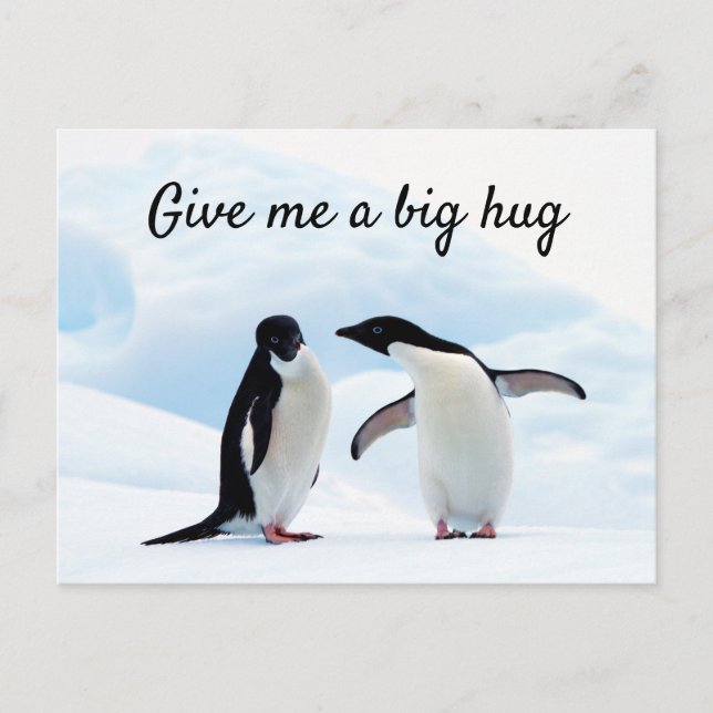 Stor hug Penguin på isfoto med text Vykort (Framsida)