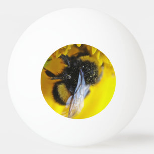 Stor humlor pingisboll