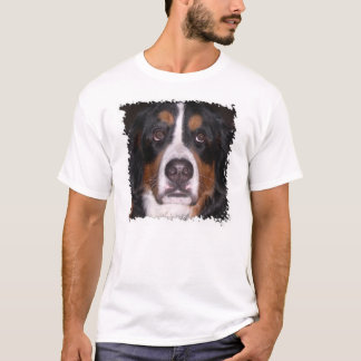 Stor hund tröja