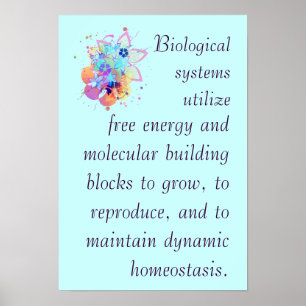 Stor idé 2 för AP-biologi Poster