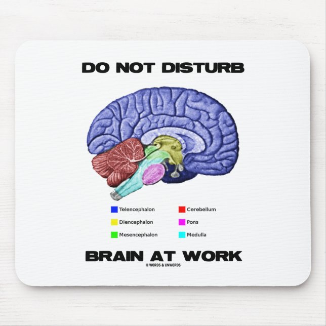 Stör inte hjärnan på arbete (den Anatomical Musmatta (Framsidan)