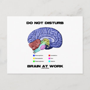 Stör inte hjärnan på arbetet (Anatomiskt Humor) Vykort