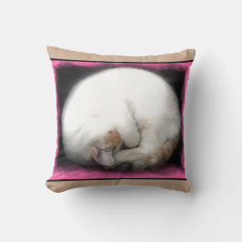 Stör inte kattdekorativ kudde