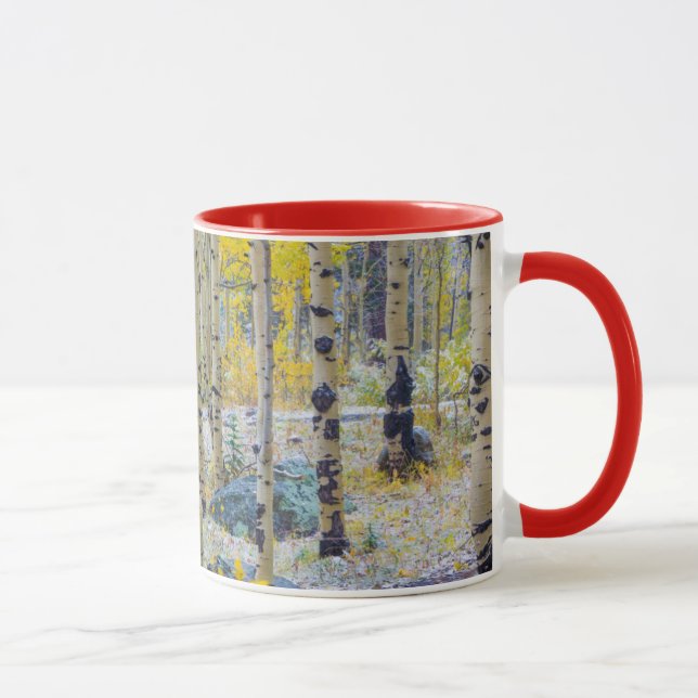 Stor isolerad stuga i en skog på Grand Mesa Mugg (Höger)