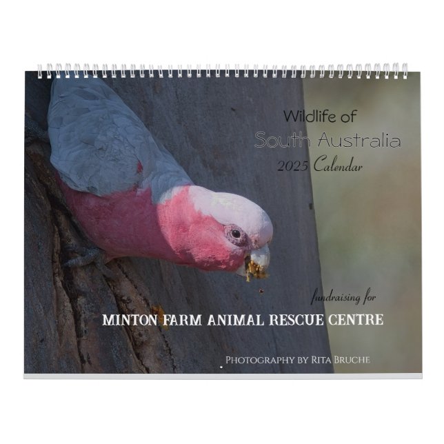 stor kalender 24 (Omslag)