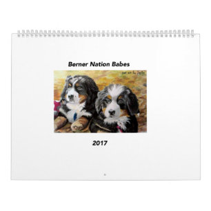 Stor kalender för Berner nationBabes 2017