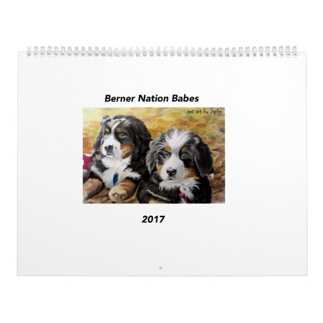 Stor kalender för Berner nationBabes 2017 (Omslag)