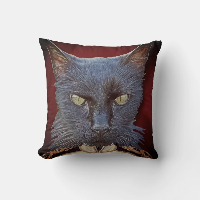 Stor katt general kudde! kudde (Framsida)