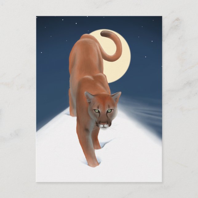 Stor katt i vintersnö - Puma Vykort (Framsida)