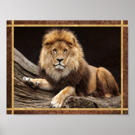 Stor katt lejon Foto Poster