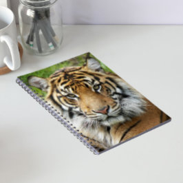 Stor katt Sumatra Tiger Foto Anteckningsbok