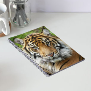Stor katt Sumatra Tiger Foto Anteckningsbok