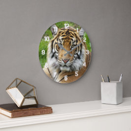 Stor katt Sumatra Tiger Foto Klocka