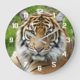 Stor katt Sumatra Tiger Foto Klocka