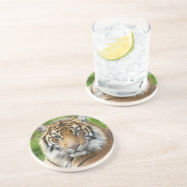 Stor katt Sumatra Tiger Foto Underlägg (Sidan)