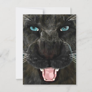 Stor katt svart panter vykort