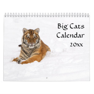 Stor kattkalender kalender