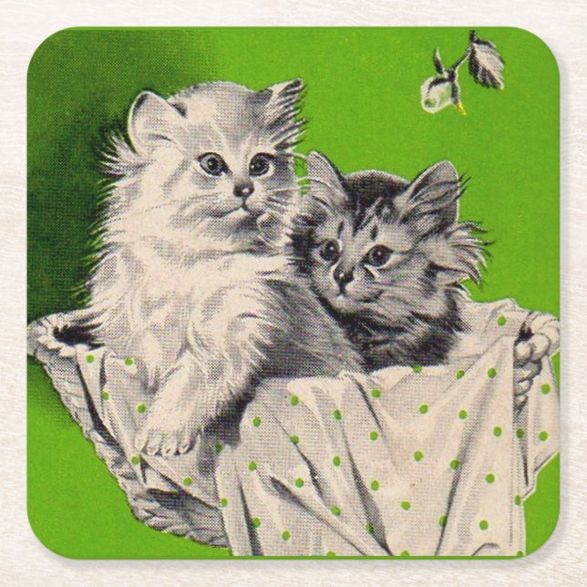 Stor kattunge kattunge underlägg papper kvadrat (Framsidan)