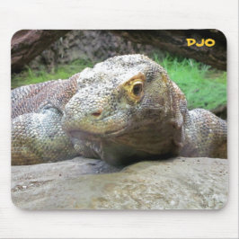 Stor Komodo drake Musmatta