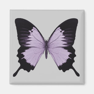 Stor lila & svart fjäril magnet