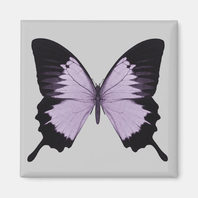 Stor lila & svart fjäril magnet (Framsidan)