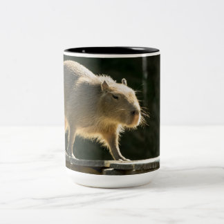 Stor mugg för Capybara