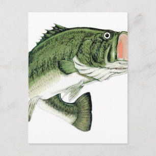 Stor mun Bass Vykort
