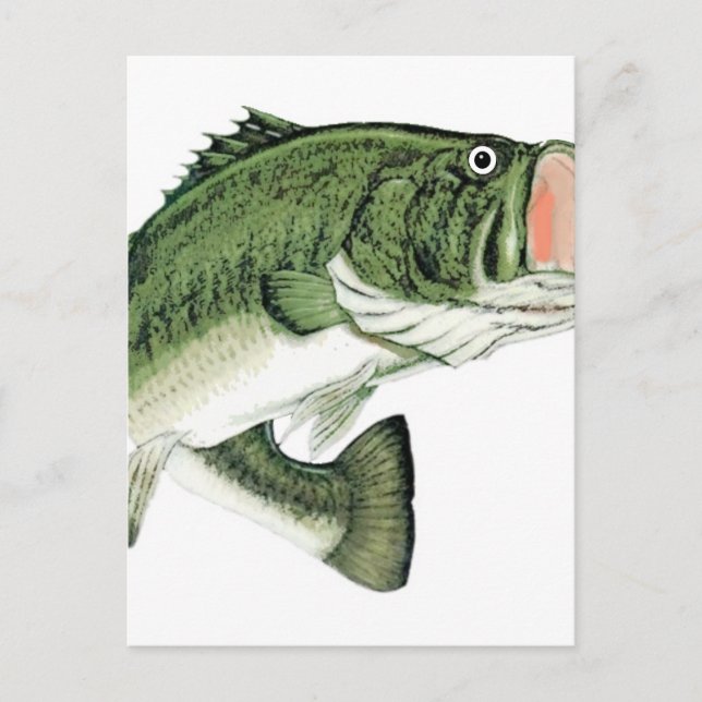 Stor mun Bass Vykort (Framsida)