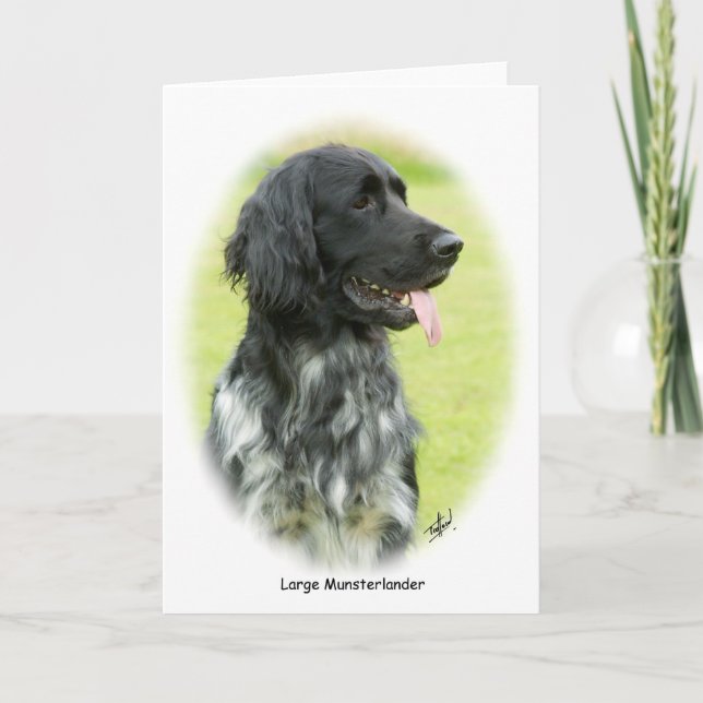 Stor Munsterlander 9W020D-065 oval Kort (Framsida)