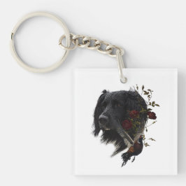 Stor Munsterlander med fasasant