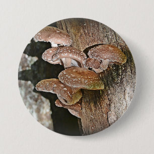 Stor mushroom-knapp knapp