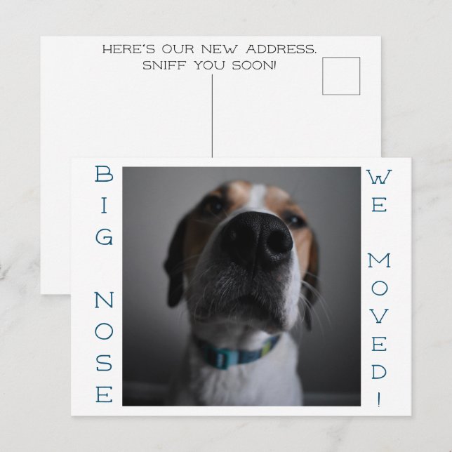 Stor näsa hund adressändring Postkort Vykort (Fram/baksida)