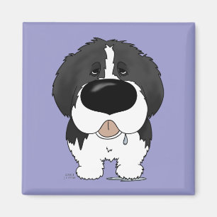 Stor näsa Newfoundland Magnet