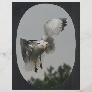 Stor Oval Ram (svart)