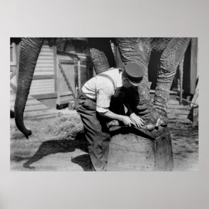 Stor Pedicure, 1910s Poster