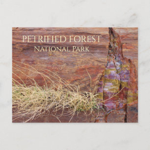 Stor Petrified Träd i Petrified Forest NP Vykort