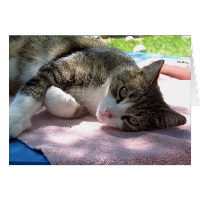 Stor pojke på det tomma hälsningskortet Bord Hälsningskort (Framsidan Horizontal)