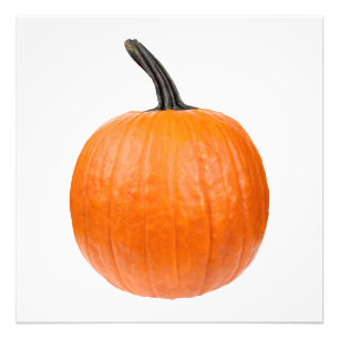 Stor Pumpkin Fototryck