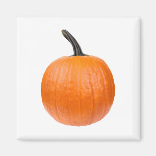 Stor Pumpkin Magnet